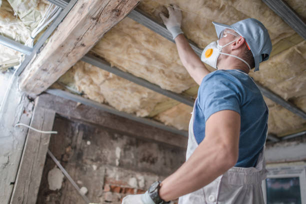 Best Insulation Maintenance and Repair in Fruitland, ID